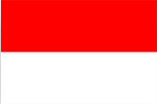 Affordable eSIM Data for Indonesia for International Travelers - WeReload