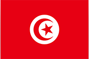 Affordable eSIM Data for Tunisia for International Travelers - WeReload